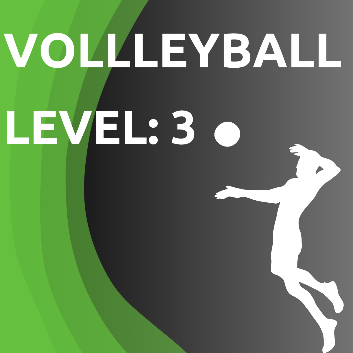 Volleyball – Profi Trainingsplan