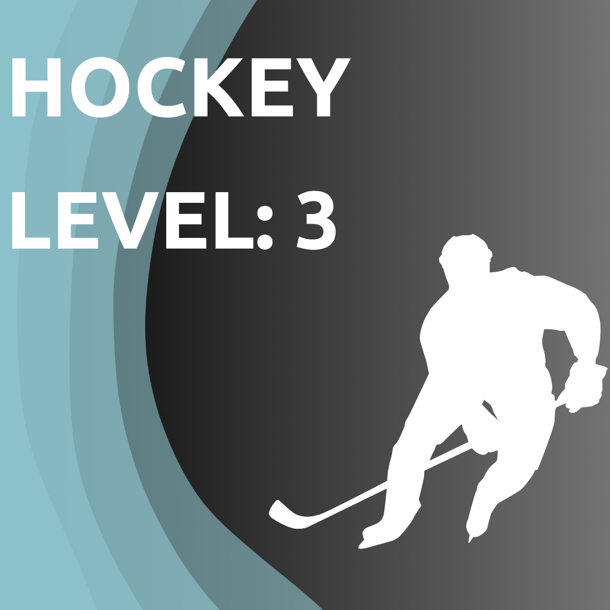 Hockey – Profi Trainingsplan