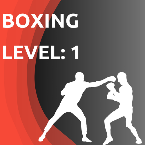 Boxen – Anfänger Trainingsplan